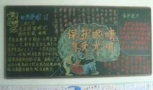 [PK赛]关于爱眼日的作文：不要给眼睛拉上一层窗帘_1200字