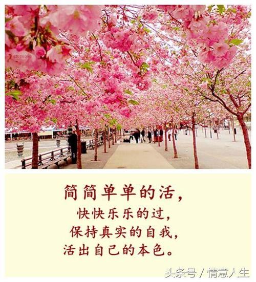 要爱，你必须知道如何珍惜_1000字