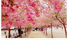 要爱，就要懂得珍惜_1000字