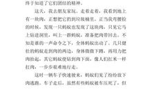 关于启示的作文：小动物蚂蚁带给我的启示_550字