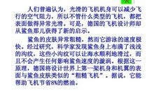 关于启示的作文：大自然的启示_1000字