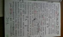关于启示的作文：大自然的启示_600字