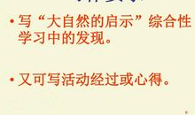 关于启示的作文：大自然的启示_650字