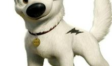 《闪电狗》观后感_300字