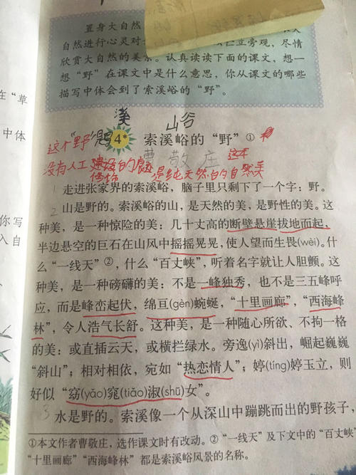 小学生必须有古代诗歌升值 - 