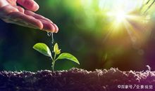 付出努力就一定有收获—《麦兜响当当》观后感_150字