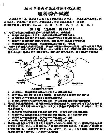 高毅描述：旅行的意义（四）_550字