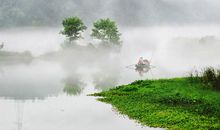 烟雨霏霏，回首只剩凄凉_550字