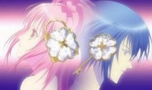 守护甜心之亚梦的灾难_400字