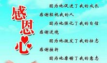 关于感恩节的作文：感恩的心_600字