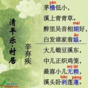 遥控“清平乐村”_350字