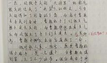 【微作文】我的偶像_50字