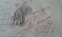 你站在那儿！我看着你_150字