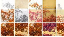 守住一颗守静的心_450字