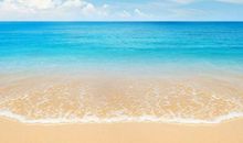 信赖，往往创造出美好的境界_450字