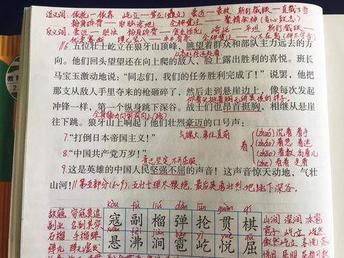 线束和骄傲 - 阅读“狼山五英雄”_500字