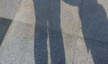 观察有趣的影子先生_200字