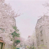 彩票，时间班车_800字