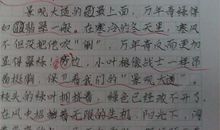 写景作文：雨景_300字