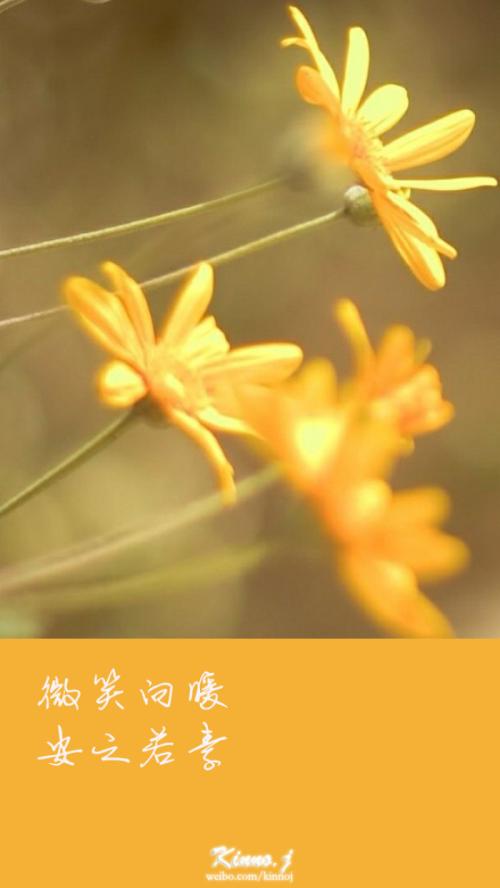 “温暖”冬天_1000字