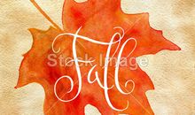 秋天里的快乐_550字