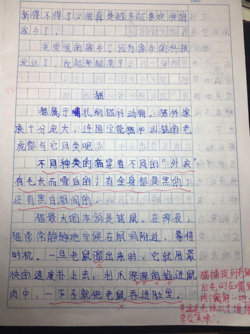 高中写作：邻近家的小女孩_900字