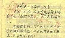 高二写人作文：烦人的小猪猪_1200字