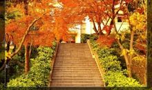 漫步在这个秋天_700字