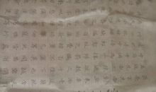 我们写出的精彩_900字