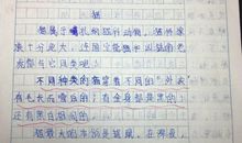 高二写人作文：致敬劳动者_1200字