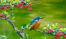 春天的故事_800字