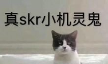 机灵就是方法_250字