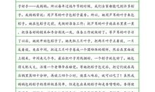 关于端午节作文：端午节感怀_1000字