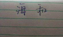 我和大海的对话_600字