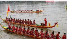 观看赛龙舟_650字