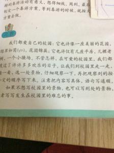 我成为一个小草。 _450字