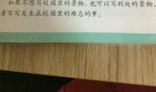 我变成小草了_450字