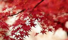 那一刻，我迈上新台阶_900字