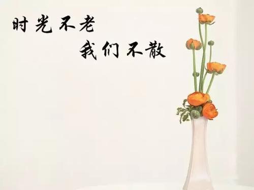 你和我一起走了_400字