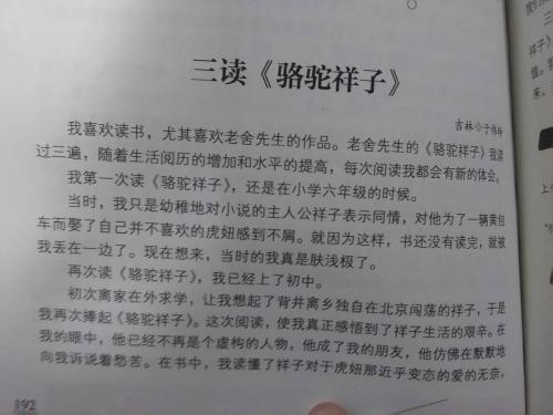 “骆驼祥子”阅读笔记_900字