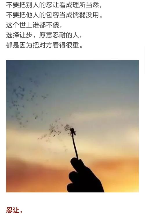 Miscetive遗憾_1500字