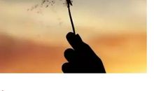 错位的遗憾_1500字