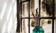 我窗外的风景_650字