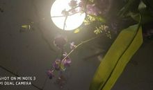 听说我老了_200字