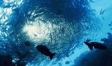 世界因我们而精彩_1000字