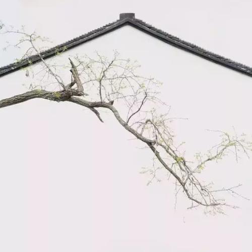 草，让我陶醉_750字