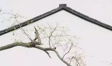 小草，让我陶醉_750字