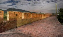 我家的小“客人”_1200字