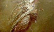 [PK赛]关于朋友的作文：小书迷——曾浩_600字