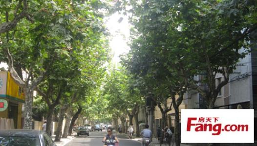 我喜欢道路两侧的尴尬树_1200字